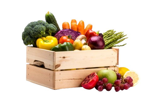 shutterstock 1181833582 removebg preview