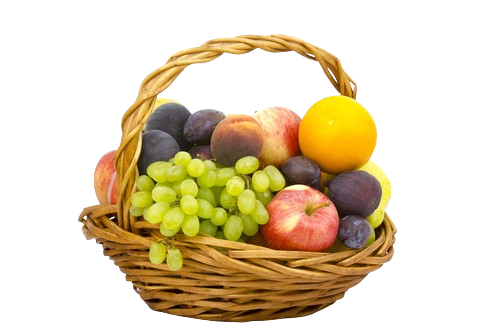 shutterstock 254680435 removebg preview