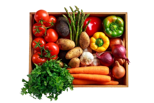 shutterstock 617760569 removebg preview